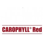 ΧΡΩΣΤΙΚΗ ΚΟΚΚΙΝΗ CAROPHYLL RED 30γρ